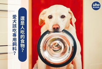 愛犬該吃專用飼料？還是人吃的食物？