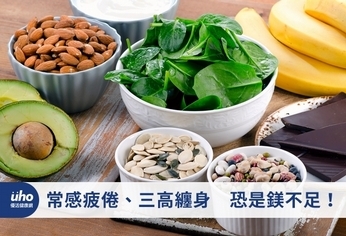 常感疲倦、三高纏身 恐是鎂不足!