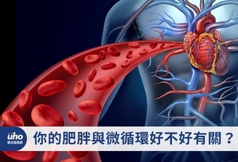 你的肥胖與微循環好不好有關?