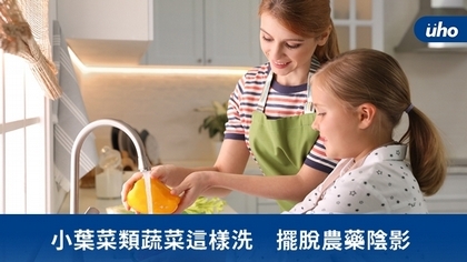小葉菜類蔬菜這樣洗 擺脫農藥陰影