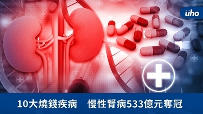 10大燒錢疾病　慢性腎病533億元奪冠