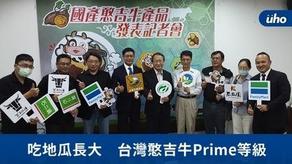 吃地瓜長大　台灣憨吉牛Prime等級