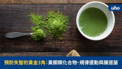 預防失智的黃金3角:黃酮類化合物、規律運動與腸道菌